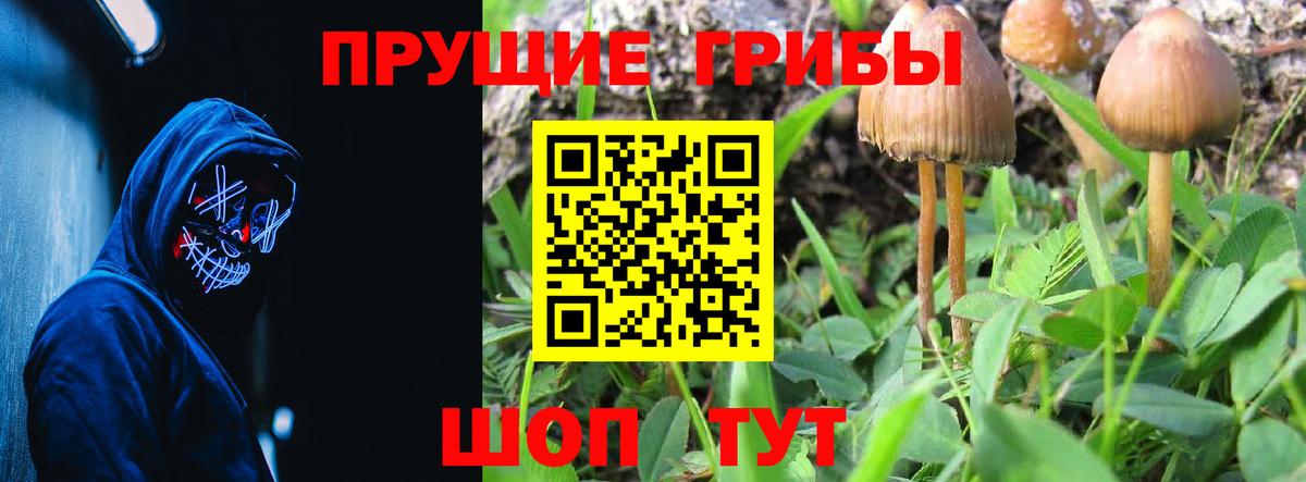 Галлюциногенные грибы мухоморы Каменка