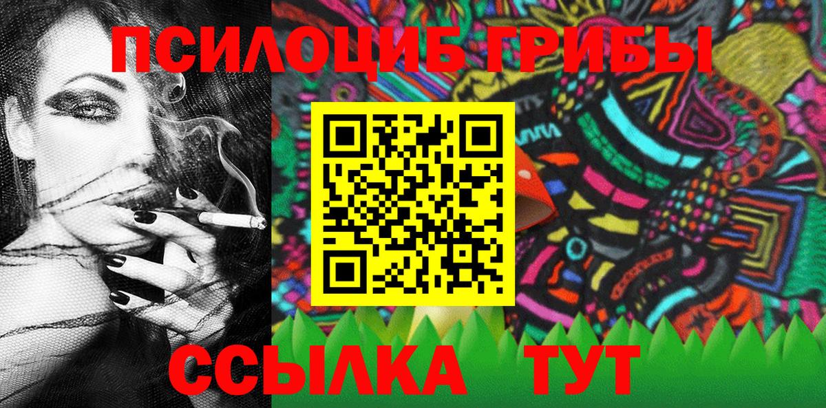 Каменка  Галлюциногенные грибы прущие грибы  Вход с VPN 